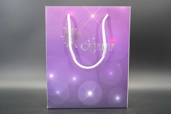 Customizable Printable Natural Kraft Paper Bags In Bulks With Twisted Handles Kraft Paper Bag Manufacturers Paper Shoppi